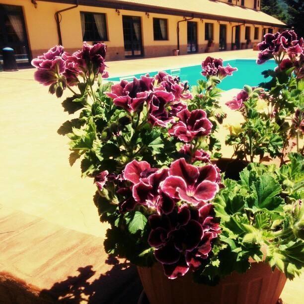 Del Riccio Hotel Martirano Ngoại thất bức ảnh